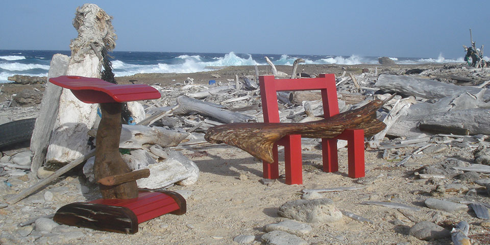 Bonaire Driftwood Collection